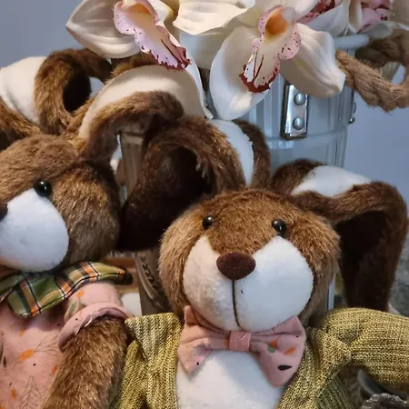 منزل للإقامة Bohemian Retro فارنا