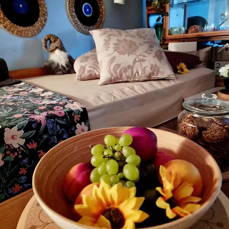 Bohemian Retro Gazde/Camere de închiriat