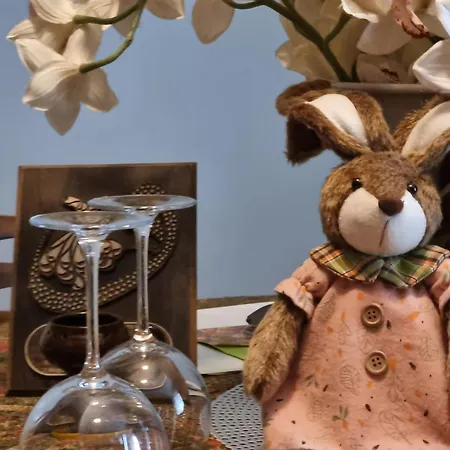 Bohemian Retro فارنا