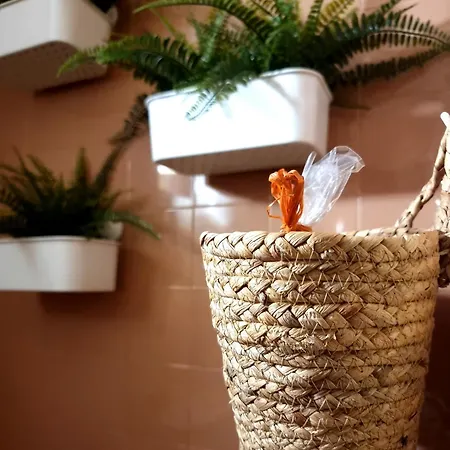 Bohemian Retro فارنا