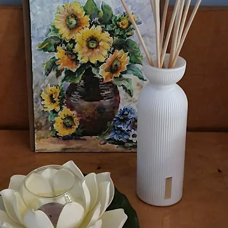 Gazde/Camere de închiriat Bohemian Retro