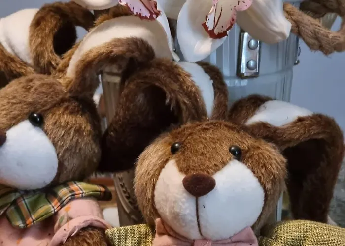 Privat bolig Bohemian Retro *